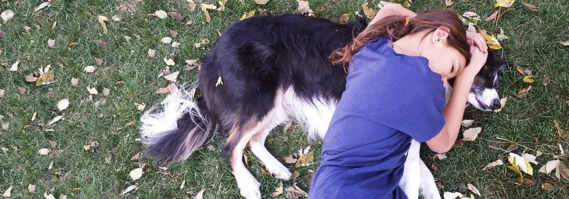 Welcome to Denver Pet Partners!