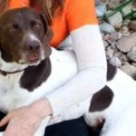 A woman holding her dog in arm with white sleeves.