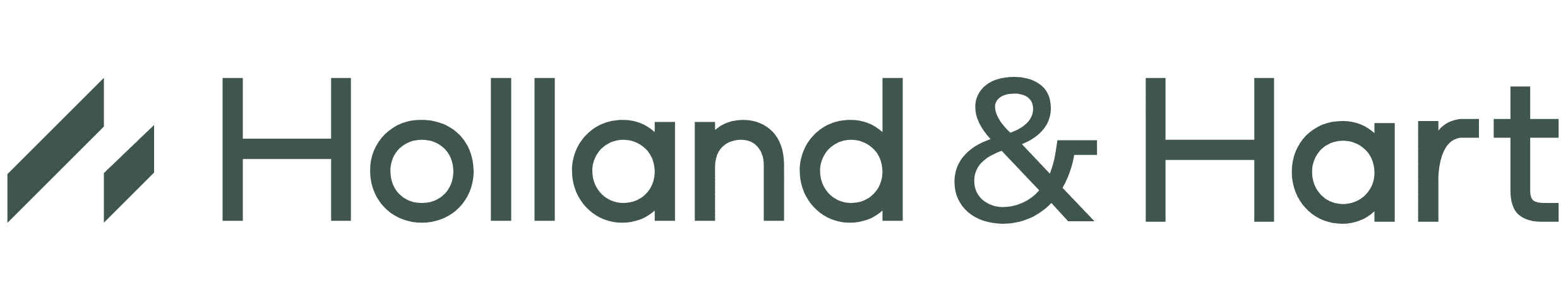 image_2025-03-28_134551773