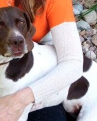 A woman holding her dog in arm with white sleeves.